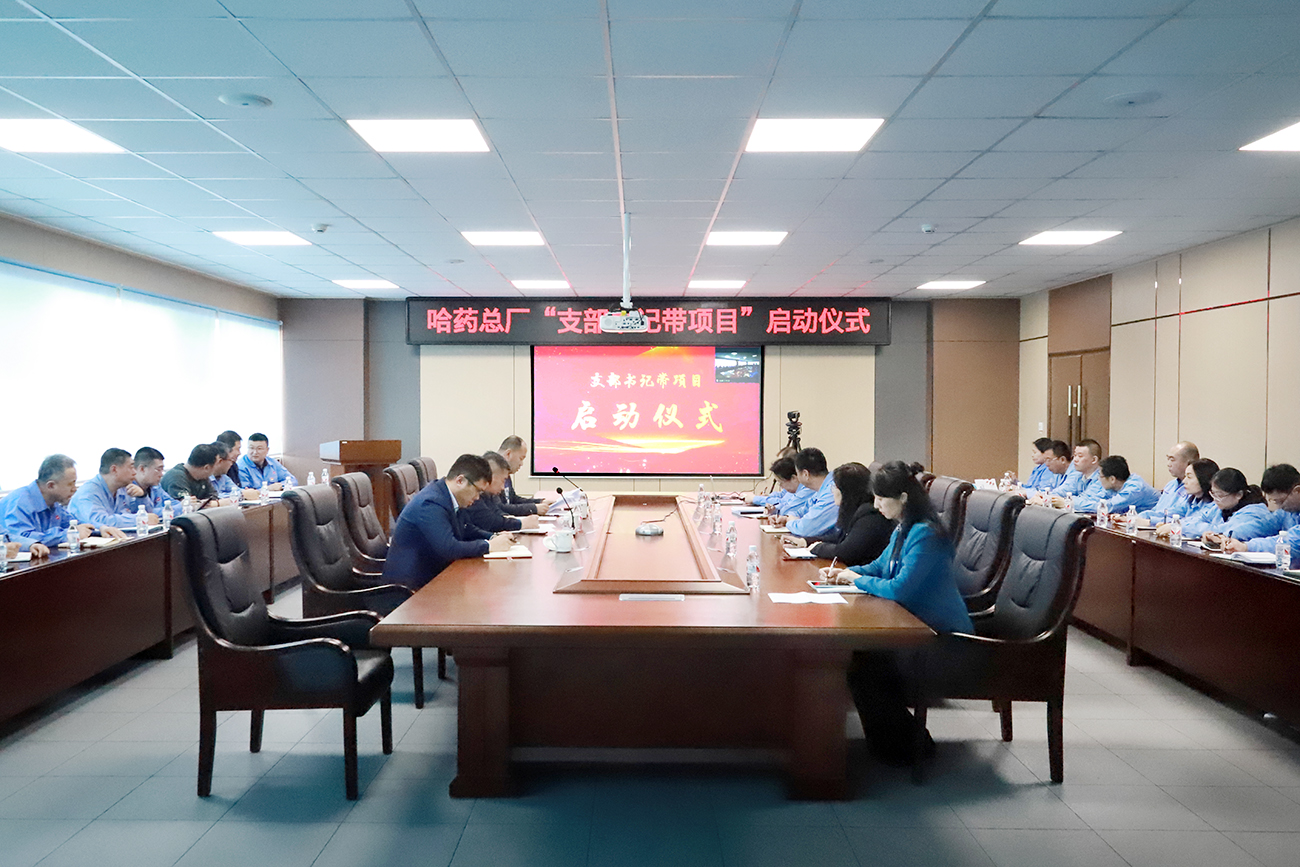 党建领航“加速度” 打造发展“强引擎”——华纳娱乐总厂党委召开“支部书记带项目”启动仪式